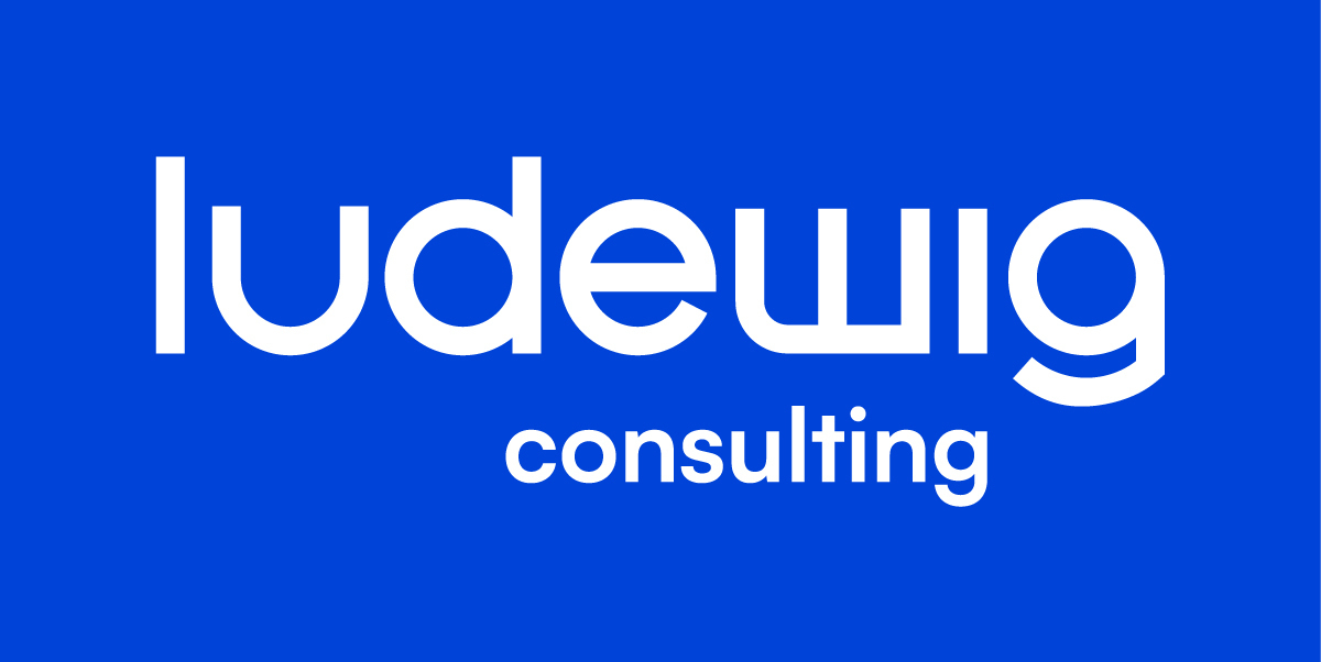Ludewig Consulting GmbH